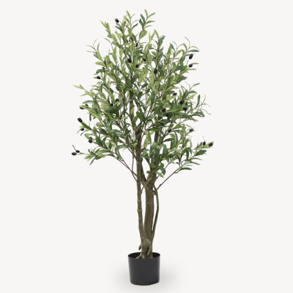 Umělý Olivovník Hnědý 180 cm