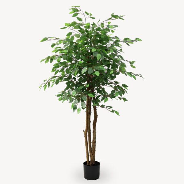Umělý Ficus Zelený 160 cm