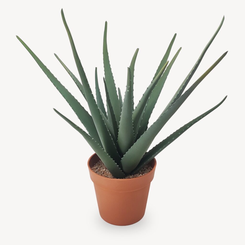 Umělá Aloe 59 cm